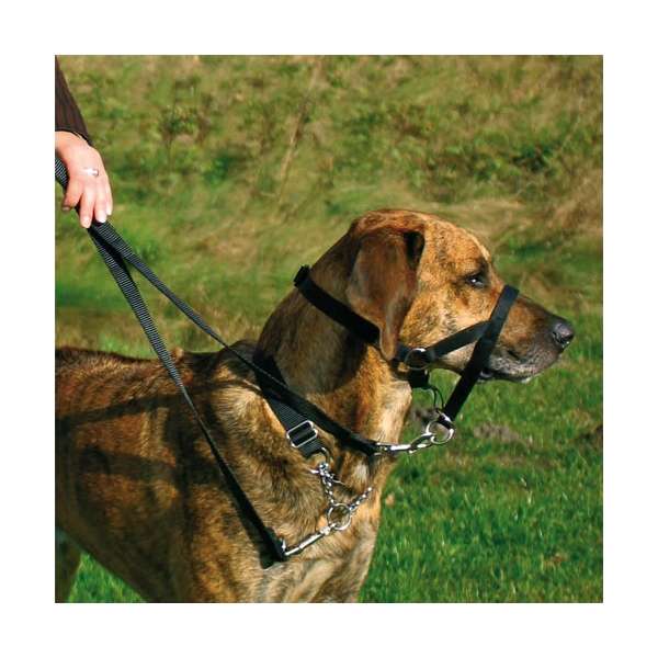 Trixie Top Trainer Ausbildungsgeschirr - max. 27 cm – Bild 3