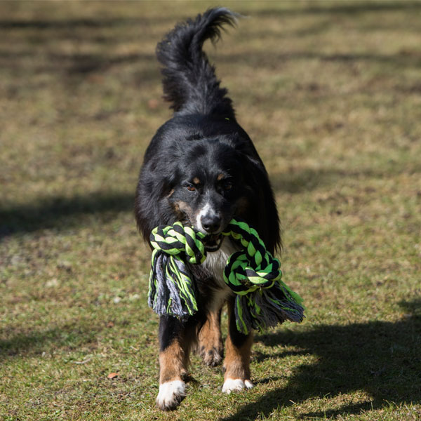 PROCYON XXL-Kauseil - 2 Knoten / 50 cm – Bild 3