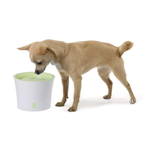 CATIT Fresh+Clear Trinkbrunnen 3L - Lindgrün – Bild 14