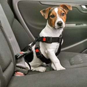 Karlie Auto-Sicherheitsgurt - XS