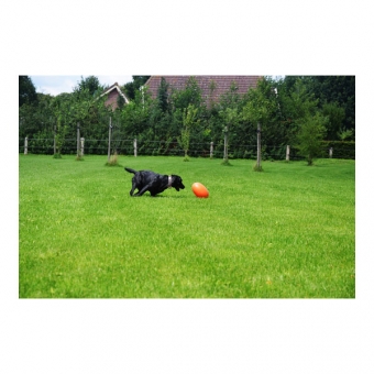 Dog Comets Pan-Stars Treibei - Orange / M – Bild 6