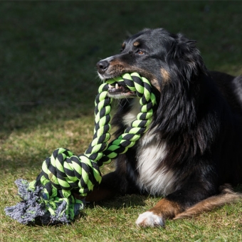 PROCYON XXL-Kauseil - Ring – Bild 6