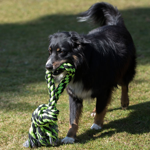 PROCYON XXL-Kauseil - Ring – Bild 5